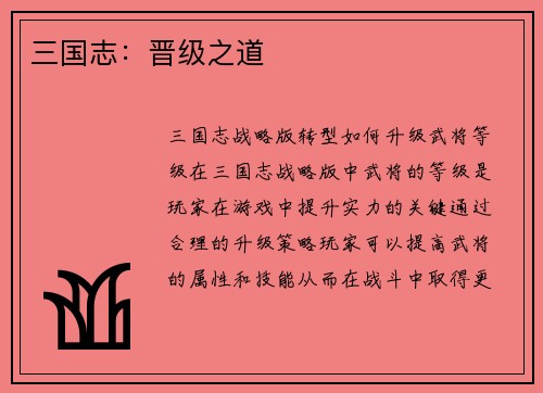 三国志：晋级之道